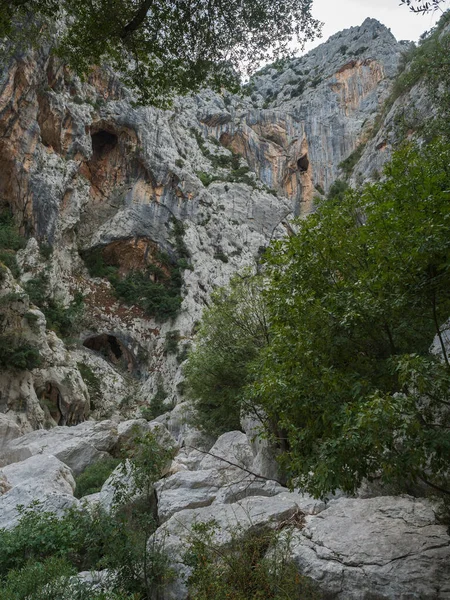 Cavernas Pedra Calcária Desfiladeiro Gola Gorropu Com Arbusto Verde Árvores — Fotografia de Stock