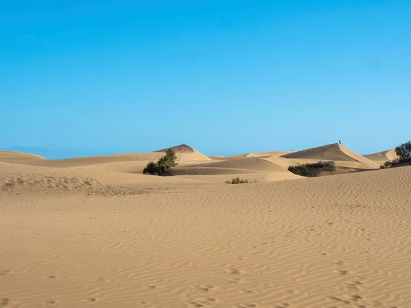 Utsikt Över Naturreservatet Sanddyner Maspalomas Gyllene Sanddyner Blå Himmel Gran — Stockfoto
