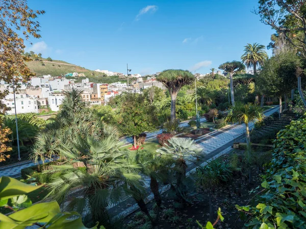 Arucas, Gran Canaria, Kanarya Adaları, İspanya 13 Aralık 2020: Şehir parkı manzarası, Arucas 'ın eski şehir merkezinde bahçe.