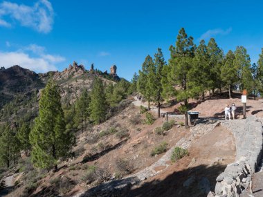 Cruz de Tejeda, Kanarya Adaları, İspanya, 15 Aralık 2020: Roque Nublo kaya oluşumundan yürüyen iki orta yaşlı kadın yürüyüşçü, ünlü Gran Canaria yürüyüşü. Yeşil çam ağaçları ve mavi gökyüzü arka planı