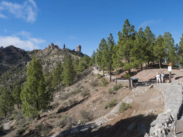 Cruz de Tejeda, Canary Islands, Ισπανία 15 Δεκεμβρίου 2020: Δύο πεζοπόροι μέσης ηλικίας που περπατούν από το βράχο Roque Nublo, famoust Gran Canaria. Πράσινο πεύκα και μπλε φόντο του ουρανού — Φωτογραφία Αρχείου