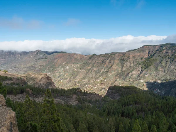 Ünlü Gran Canaria yürüyüş parkından, yeşil çam ağaçları ve pitoresk kaya oluşumuyla Roque Nublo parkının muhteşem manzarası. Kanarya Adaları, İspanya. — Stok fotoğraf