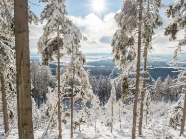 Karla kaplı kozalaklı karlı çam ağaçları ormanının aşağısındaki tarlalarla kış manzarası. Brdy Dağları, Çek Cumhuriyeti 'nin merkezindeki tepeler, güneşli bir gün.