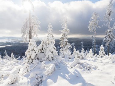 Güzel kış manzarası, Cakova vyhlidka manzarası tarlalar, orman, köyler ve karla kaplı dalları olan karlı çam ağaçları. Brdy Dağları, Çek Cumhuriyeti 'nin merkezindeki tepeler, güneşli bir gün.