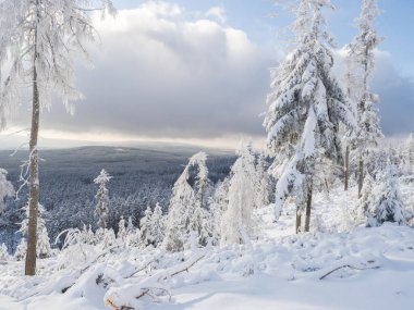 Güzel kış manzarası, Cakova vyhlidka manzarası tarlalar, orman, köyler ve karla kaplı dalları olan karlı çam ağaçları. Brdy Dağları, Çek Cumhuriyeti 'nin merkezindeki tepeler, güneşli bir gün.