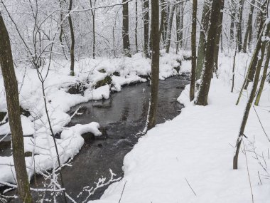Orman suları, ağaçlar, dallar ve taşlarla kaplı dere, Luzicke Hory, Lusatian Dağları, Çek Cumhuriyeti, kar yağışı