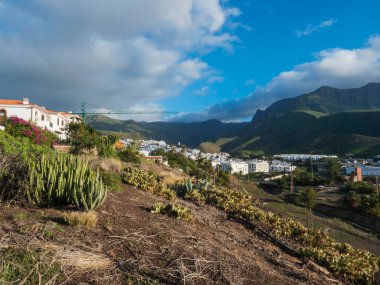 Agaete şehrinin beyaz evleri ve evleri, Tamadaba yeşil dağları manzaralı popüler sahil beldesi. Gran Kanarya Adaları, İspanya