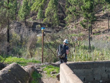 Agaete, Gran Canaria, Kanarya Adaları, İspanya, 20 Aralık 2020: Tamadaba doğal parkının dağ ve çam ormanlarındaki yürüyüş parkında insan yürüyüşçüsü ve turist rehberi.