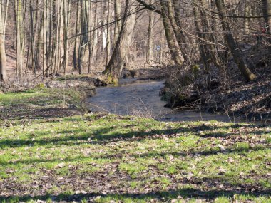 Kunraticky les Orman Parkı 'nda baharın erken saatlerinde çıplak ağaçlarla kaplı küçük bir bahar nehri manzarası. Prag, Çek Cumhuriyeti