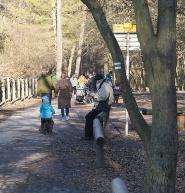 Çek Cumhuriyeti, Prag, 7 Mart 2021: Kunraticky les orman parkında çıplak ağaçlar ve güneşli baharın erken saatlerinde yürüyüşe çıkan bir grup insan ile kalabalık yol