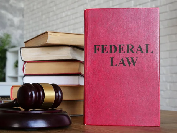 Ley Federal Está Título Libro Cerca Del Mazo Juez —  Fotos de Stock