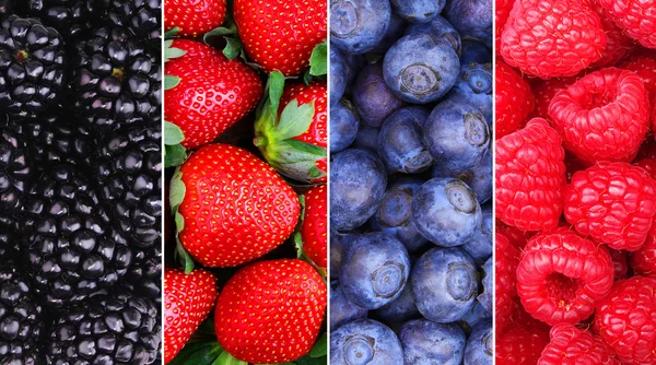 浆果背景集合。覆盆子、 蓝莓、 黑莓手机 — 图库照片
