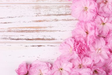 Bahar çiçeği çiçek eski ahşap arka plan üzerinde