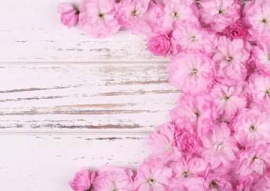 Bahar çiçeği çiçek ahşap arka plan üzerinde