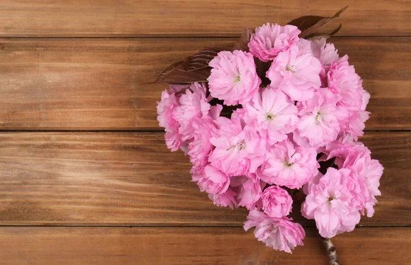 Fleurs de fleur de printemps sur fond en bois — Photo