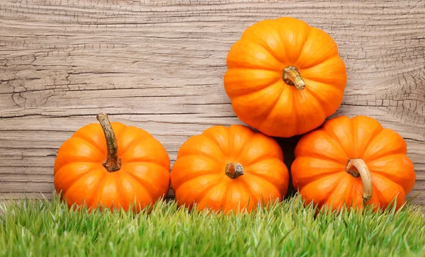 木製の背景の上の緑の芝生にカボチャ。収穫。ハロウィーン衣装 — ストック写真