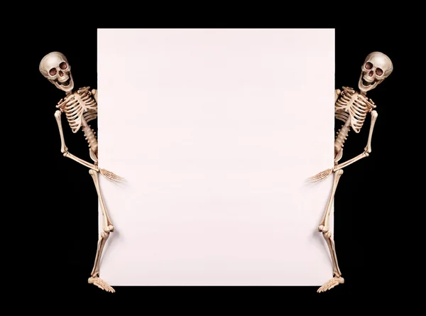 Squelettes tenant vide sur fond noir. Halloween — Photo