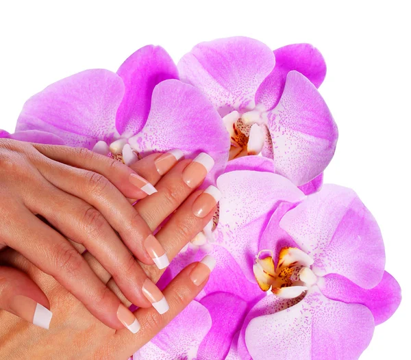Französische Maniküre. schöne weibliche Hände mit rosa Orchideenblüten — Stockfoto