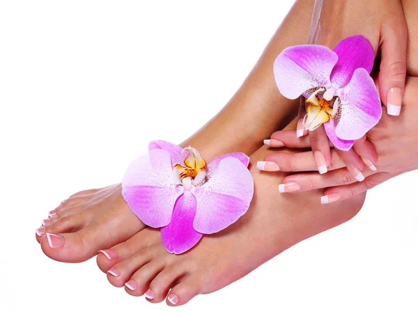 Nail care. French Manicure on Female Feet and Hands — Stock Photo, Image