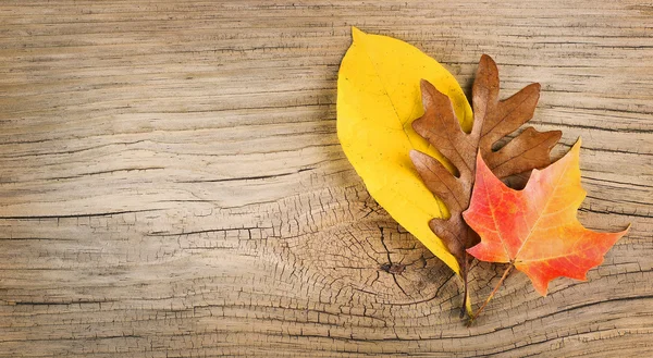 Осенние листья на старом деревянном фоне — стоковое фото
