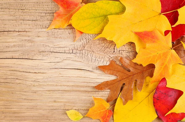 Fall Leaves on Old Wooden Background — Stock Photo, Image