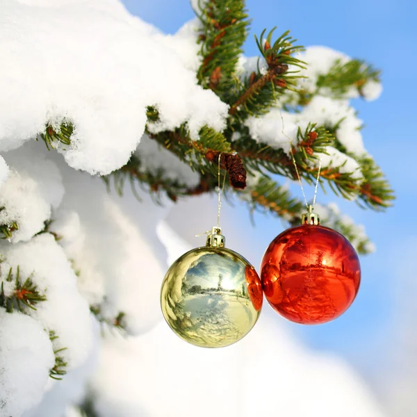 Christmas Balls on Christmas tree branch covered with Snow — Stock Photo, Image