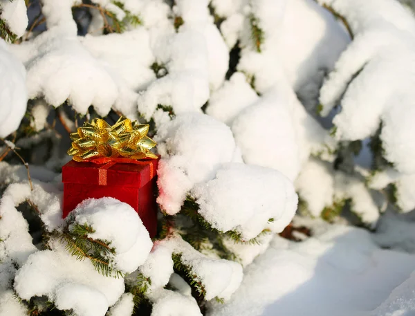 Hediye kutusu Noel ağacının altında karla kaplı. Kış — Stok fotoğraf