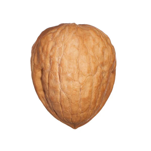 Single walnut in shell isolated on white — Stock Photo, Image