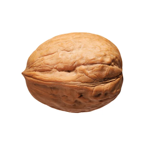 Single walnut in shell isolated on white — Stock Photo, Image