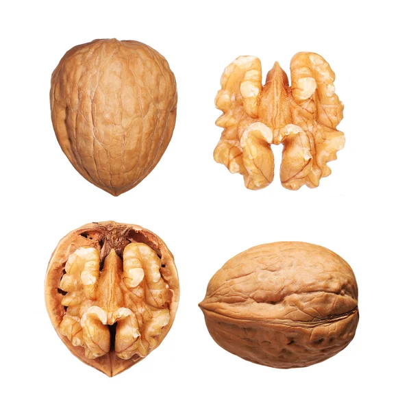 Walnuts set isolated on white — Stock Photo, Image