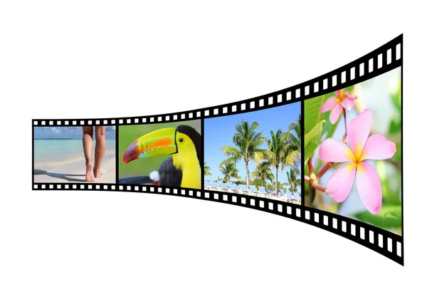 电影带热带自然景色的图片 — 图库照片