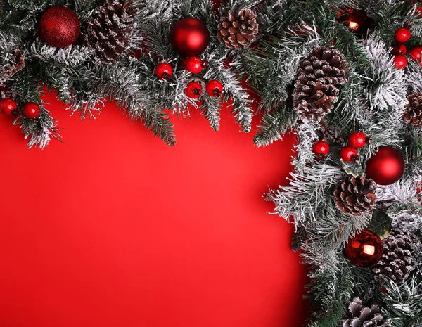 Christmas background. Branch of christmas tree with pine cones — Stock Photo, Image