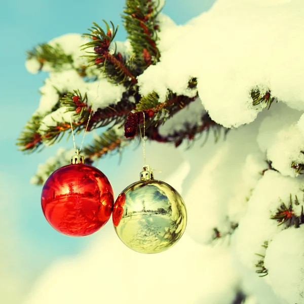 Palle di Natale sul ramo dell'albero di Natale ricoperto di neve — Foto Stock