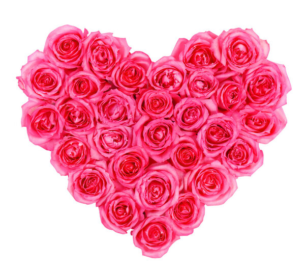 Pink roses in heart shape isolated isolated on white background