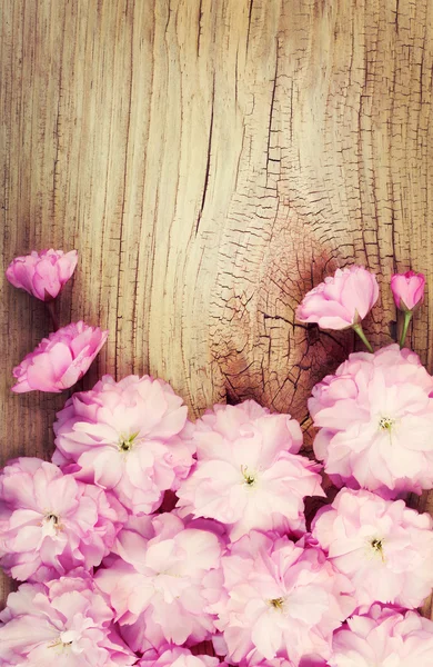 Kwiat wiśni na stare drewniane tła. Sakura na wiosnę. różowy — Zdjęcie stockowe