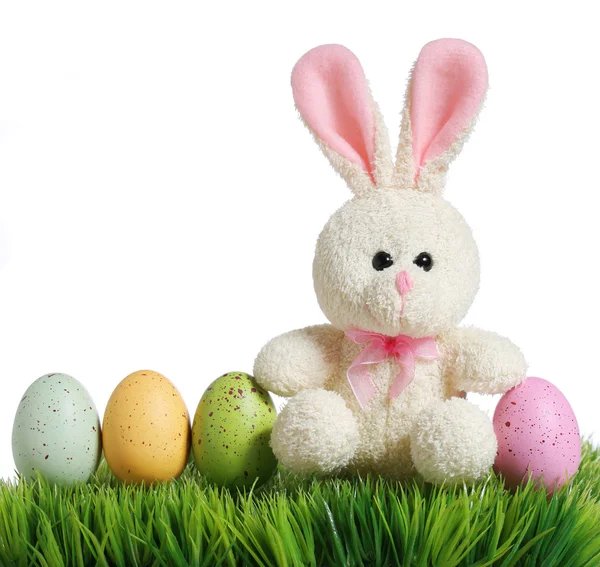 Huevos de Pascua y conejo sobre hierba, aislados sobre blanco — Foto de Stock