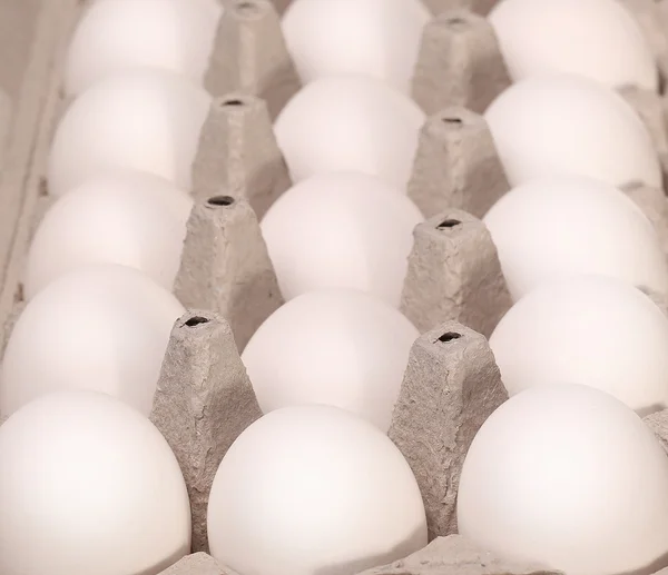 Huevos blancos en la caja Contexto — Foto de Stock