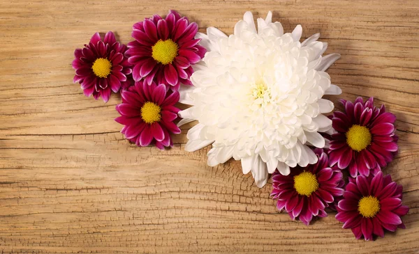 Flores de primavera sobre fondo de madera — Foto de Stock