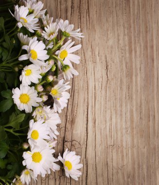 Kopya alanı ile ahşap arka plan üzerinde papatya çiçeği