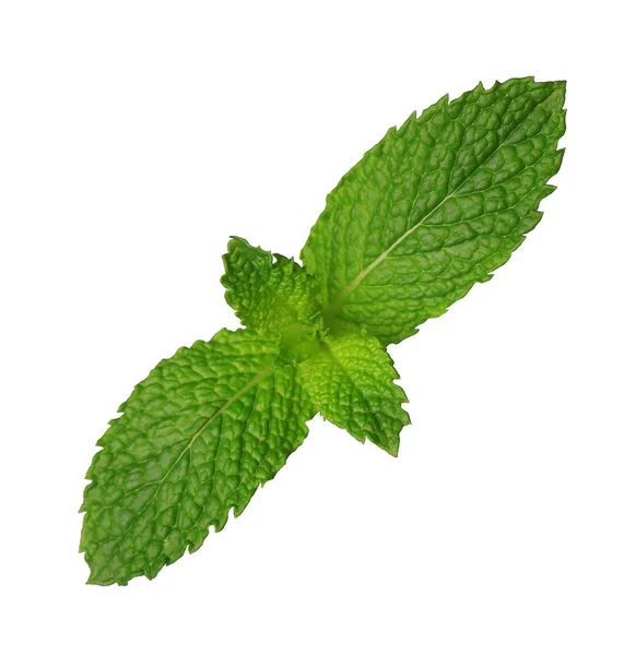 Mint leaves isolated — Stock Photo, Image