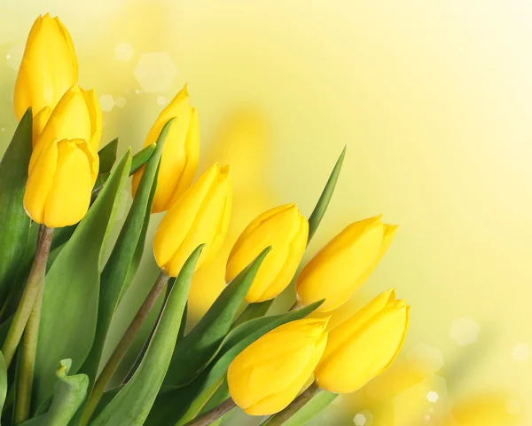 Frühlingsblumen. schöner gelber Tulpenstrauß — Stockfoto