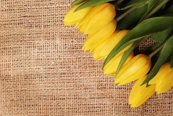 Gelbe Tulpen auf Klett-Hintergrund mit viel Platz — Stockfoto