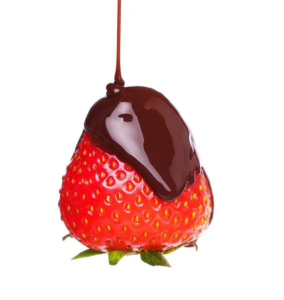 在孤立的融化的巧克力草莓 — 图库照片