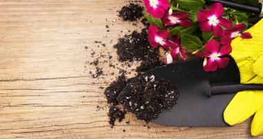 Bahçe aletleri, kürek, eldiven, çiçekler ve eski ahşap topraklarında