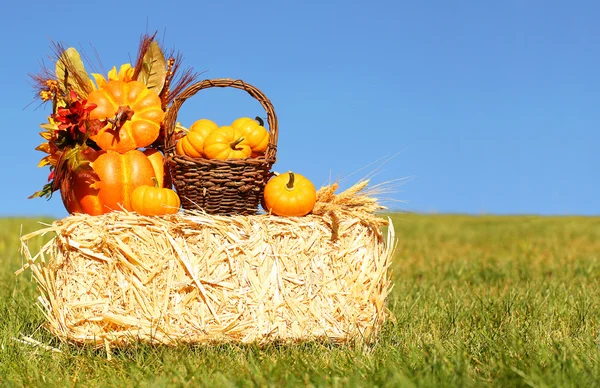 Herbstdekoration. Kürbisse mit Korb auf Strohballen — Stockfoto