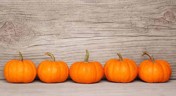 Kürbisse über hölzernen Hintergrund. Ernte. halloween — Stockfoto