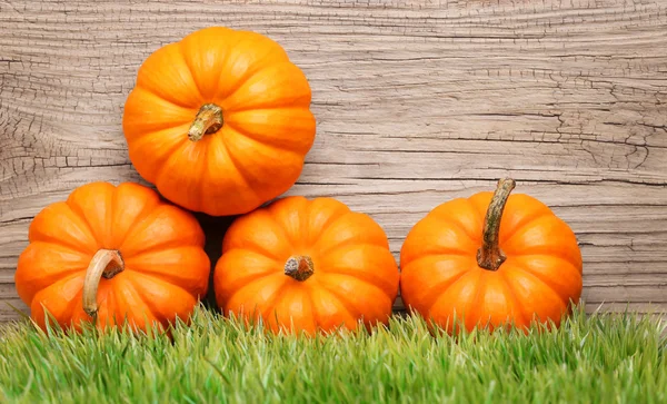 Calabazas sobre hierba verde sobre fondo de madera. Cosecha — Foto de Stock