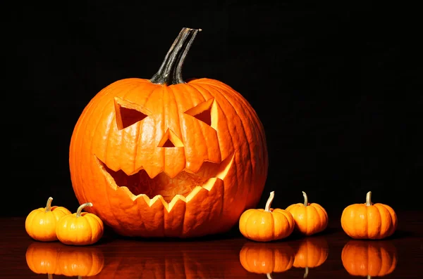 Halloween pumpkin and tiny pumpkins on black background — Stock Photo, Image