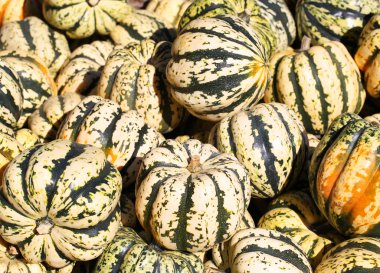 Tatlı hamur tatlısı Squash arka plan. Hasat