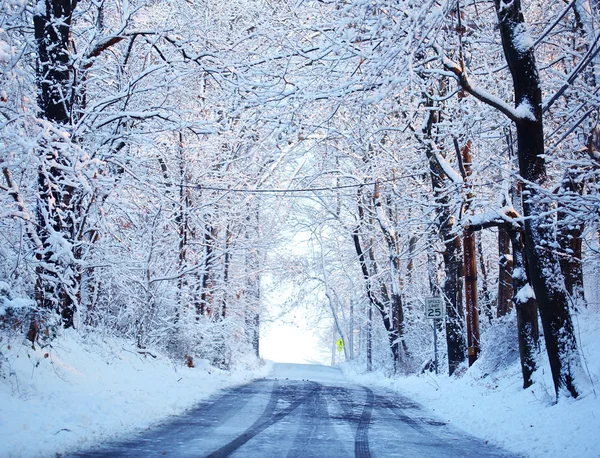 Vinter gränd med snö täckt träd — Stockfoto